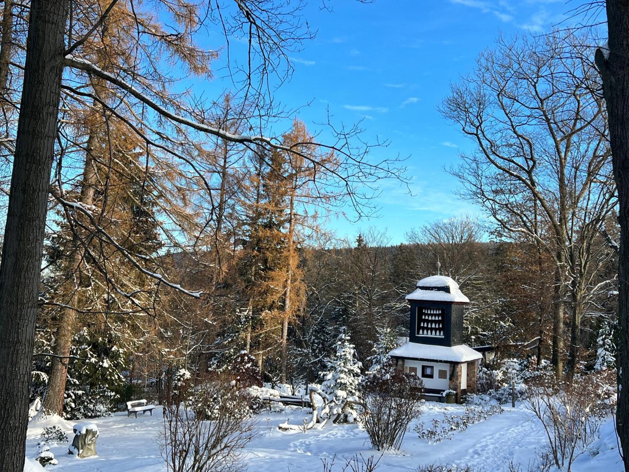 Apartment Haus Tadeus Altenberg (Erzgebirge)